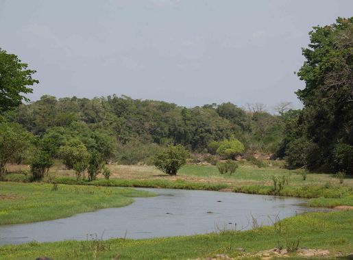 File:Comoe river with wetlands.jpg - Wikimedia Commons