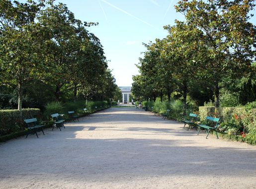 File:Tours - Allée Principale Jardin Botanique.jpg - Wikimedia Commons
