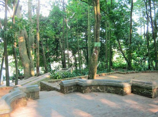 Berkas:Taman Hutan Raya Ir. Djuanda Dago Bandung - panoramio.jpg -  Wikipedia bahasa Indonesia, ensiklopedia bebas