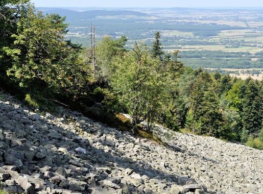 File:PL-SK Świętokrzyski Park Narodowy, gołoborze  2018-08-22--12-54-37-003.jpg - Wikimedia Commons