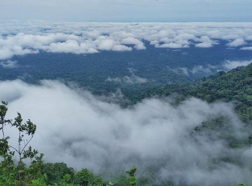 File:Mbe mountains community forest.jpg - Wikimedia Commons