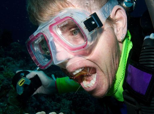 File:Diver with Cleaner Shrimp (3385504415).jpg - Wikimedia Commons