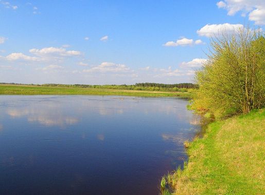 File:Turija river(Ukraine) 1.JPG - Wikipedia