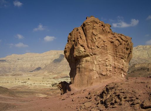 File:Mushroom in Timna Park in summer 2011 (1).JPG - Wikimedia Commons