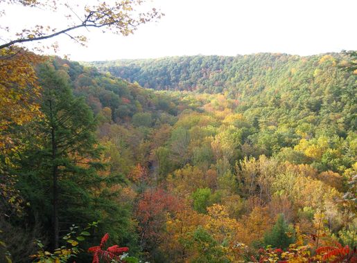 File:Clear Fork Gorge from Mohican State Park Gorge Overlook.jpg - Wikipedia