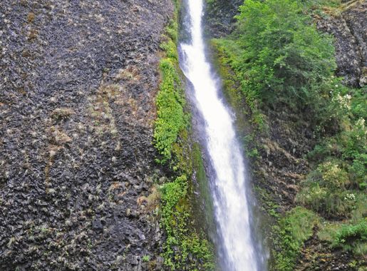 File:Horsetail Falls (Multnomah County, Oregon, USA) 7 (19840192970).jpg -  Wikimedia Commons
