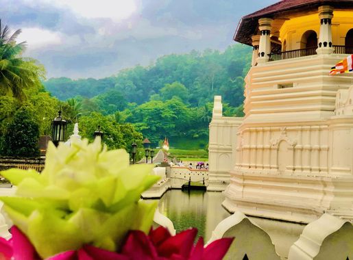 File:Sri Dalada Maligawa or the Temple of the Sacred Tooth Relic.jpg -  Wikimedia Commons