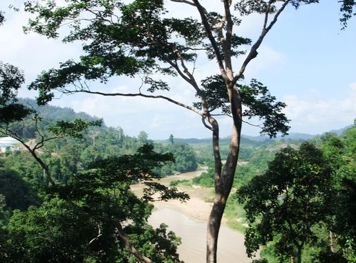 File:Taman Negara Sungai Tembeling.JPG - Wikipedia