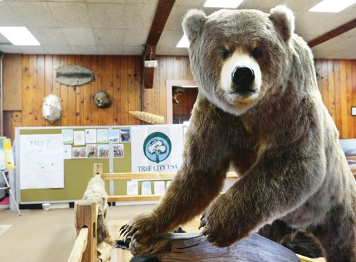 JBER wildlife springs into action > Joint Base Elmendorf-Richardson >  Articles