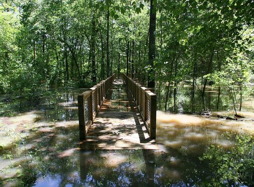 File:White River Boardwalk Trail (5781633755).jpg - Wikimedia Commons