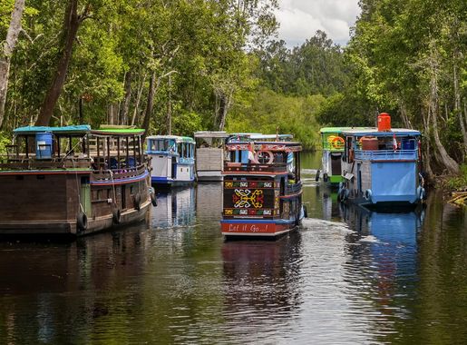 Berkas:Tanjung Puting National Park.jpg - Wikipedia bahasa Indonesia,  ensiklopedia bebas