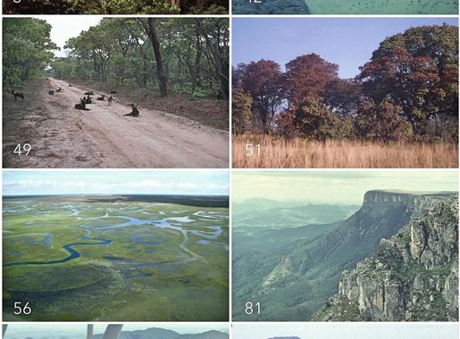 File:Photo images of Angolan ecoregions.webp - Wikimedia Commons