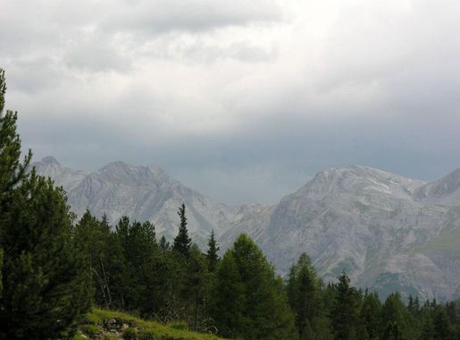 File:Swiss National Park 060.JPG - Wikipedia