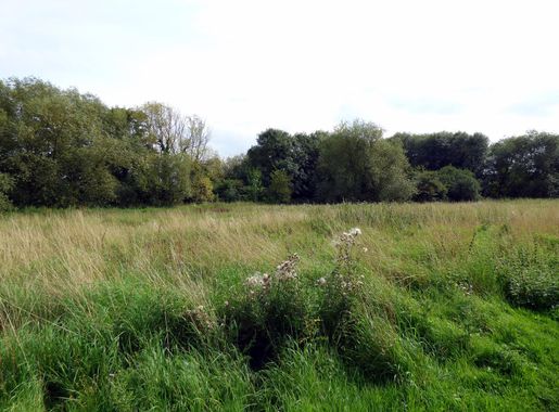 File:Priory Fishponds, Bedford (41721168712).jpg - Wikimedia Commons