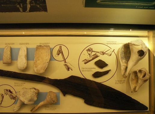 File:Calusa tools and paddle on display at the Florida Museum of Natural  History.jpg - Wikimedia Commons