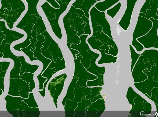 File:Sundarbans, Mangrove forest (50083279617).png - Wikimedia Commons