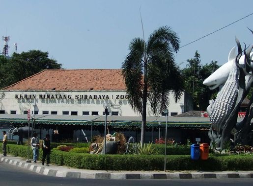 File:Surabaya Zoo.JPG - Wikipedia
