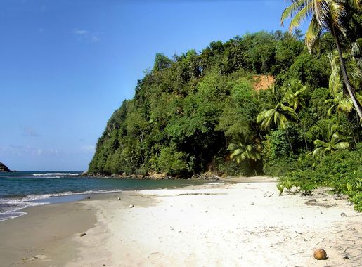 File:Hampstead Beach (Dominica).jpg - Wikimedia Commons