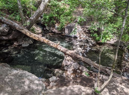 File:Overlooking Jordan Hot Springs in the Gila National Forest, full  size.jpg - Wikimedia Commons