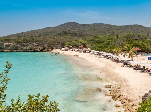 File:Grote Knip Kenepa Grandi Curacao (36561697451).jpg - Wikimedia Commons