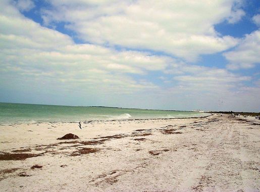 File:Caladesi island beach 01.jpg - Wikimedia Commons