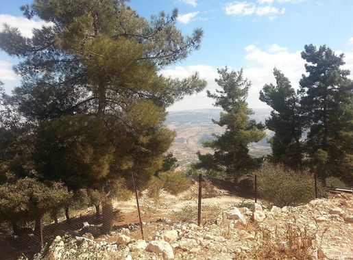 File:Ajloun forests JO 2.jpg - Wikimedia Commons