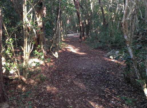 File:Windley Key trail.JPG - Wikimedia Commons