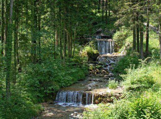 Free Images : landscape, nature, forest, waterfall, creek, trail, pond,  stream, cascade, jungle, splash, backyard, garden, trees, estate, woodland,  bach, habitat, yard, waters, ecosystem, upper bavaria, water running, biome  4654x3114 - -