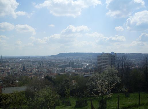 Fichier:Vue depuis le parc de la Cure d'Air à Nancy.jpg — Wikipédia