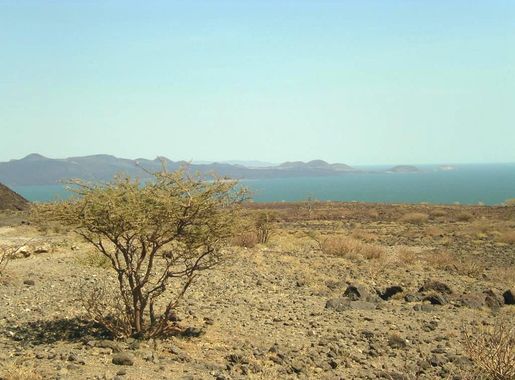 File:Lake turkana.jpg - Wikipedia