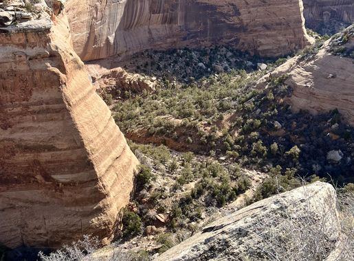 Geologic Activity - Colorado National Monument (U.S. National Park Service)