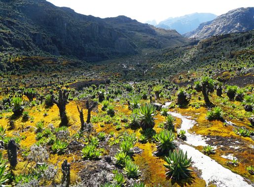 File:Rwenzori Mountains.jpg - Wikimedia Commons