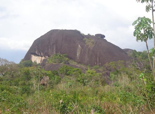 File:Cerro cerca de Betania de Topocho, estado Amazonas, Venezuela.JPG -  Wikimedia Commons