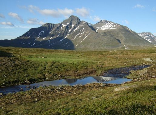 File:Pierikpakte in Sarek.jpg - Wikipedia