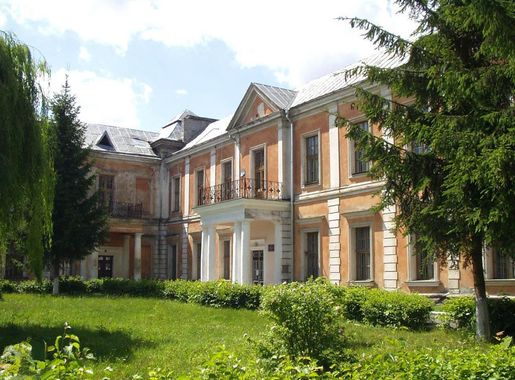 File:Vyshnivets Palace Vlasenko.jpg - Wikimedia Commons