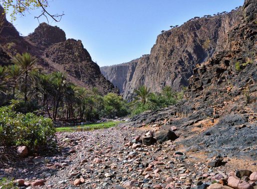 File:Wadi, Socotra Island (10941888296).jpg - Wikimedia Commons