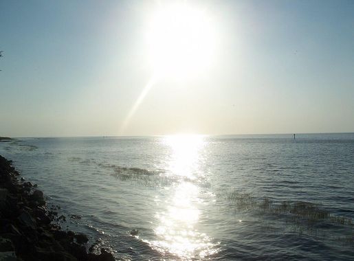 File:Pahokee FL marina lake okee01.jpg - Wikimedia Commons