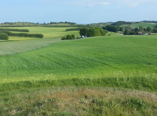 Fil:Agri Bavnehøj from west..jpg - Wikipedia, den frie encyklopædi