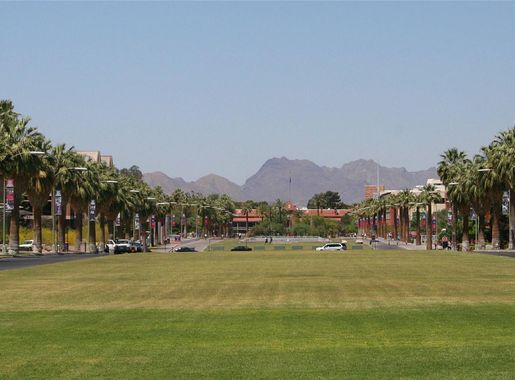 File:University of Arizona mall.jpg - Wikipedia