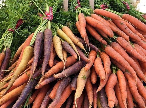 Great Valley Poultry and Metzer | Free Photo - rawpixel