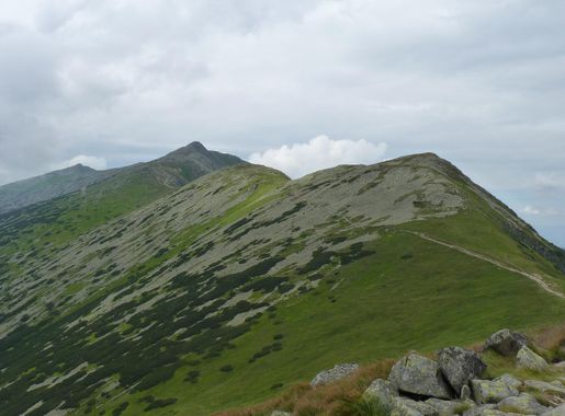 File:Nízké Tatry, Krupovo sedlo, pohled na Chopok.JPG - Wikimedia Commons