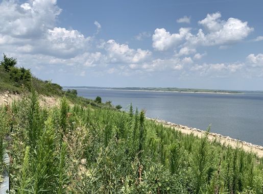 File:Tuttle Creek Lake's west shore during summer.jpg - Wikimedia Commons