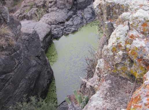 Archivo:Cañada del río Laja 3, jardín botánico El Charco del Ingenio, San  Miguel de Allende Guanajuato, México.JPG - Wikipedia, la enciclopedia libre