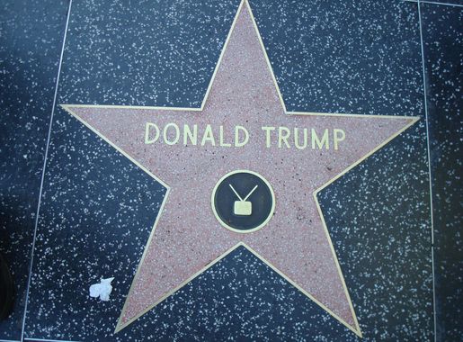 File:Donald Trump star Hollywood Walk of Fame.JPG - Wikipedia