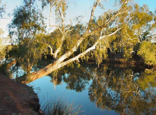 File:Millstream-Chichester National Park DSC04090.JPG - Wikimedia Commons