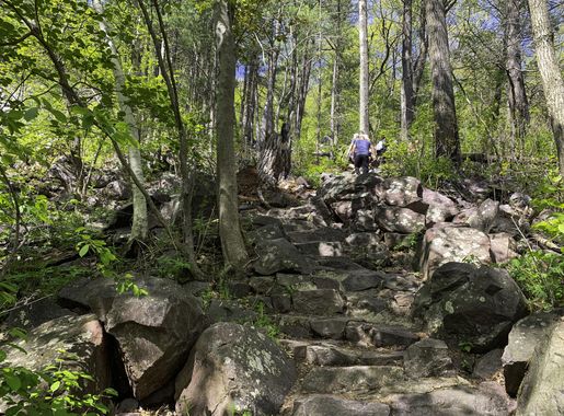 Upwards Trail at Devil's Lake State Park image - Free stock photo - Public  Domain photo - CC0 Images