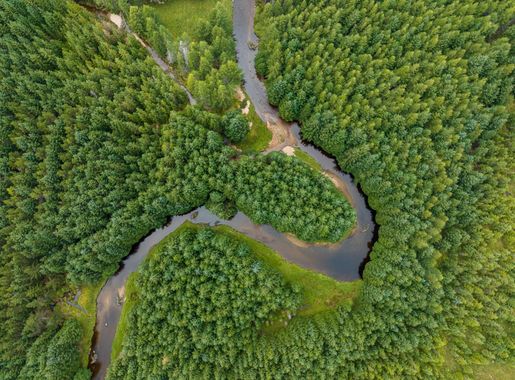File:River Muick, Cairngorms National Park, Scotland.jpg - Wikipedia