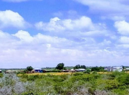 File:Somalia, Galguduud, Ris (1).jpg - Wikimedia Commons