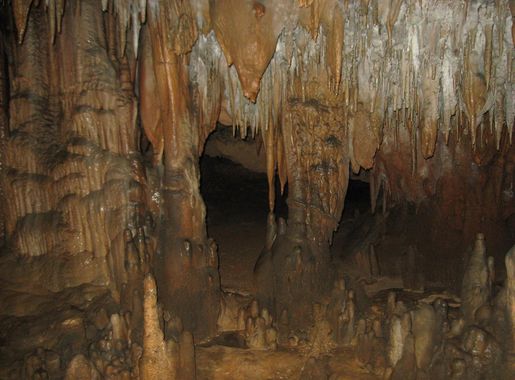 File:Stalactites and stalagmites inside the caves at Florida Caverns State  Park.JPG - Wikimedia Commons