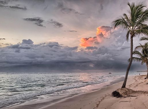 Free Images : beach, landscape, sea, coast, sand, ocean, horizon, cloud,  sky, sunrise, sunset, sunlight, cloudy, morning, shore, dawn, dusk, palm,  weather, bay, body of water, trees, hdr, clouds, resort, gran, bahia,